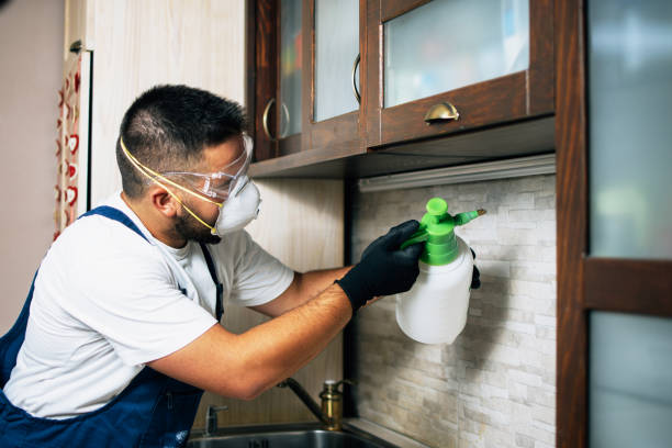 Best Termite Control Services  in Highland On The Lake, NY