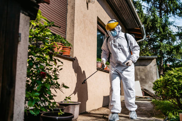 Insect Control in Highland On The Lake, NY