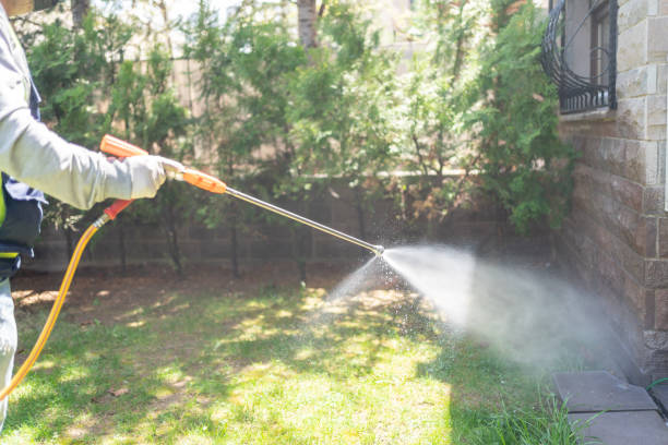 Best Flea Control Services  in Highland On The Lake, NY