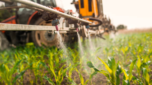 Best Commercial Pest Control Services  in Highland On The Lake, NY